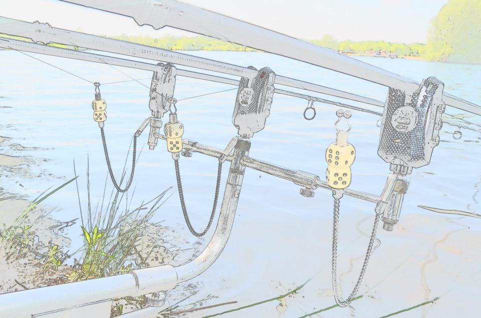 dupa net adunate - 5774823385013095525111305129342n.jpg